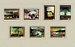 2893.jpg
